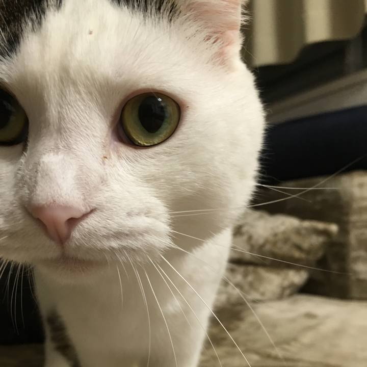 A3f008ab 63f8 44c7 83c8 4b50ce24eb3a