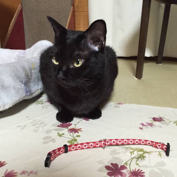 A3f01a15 f314 48d7 ae4a d0385446e6a8