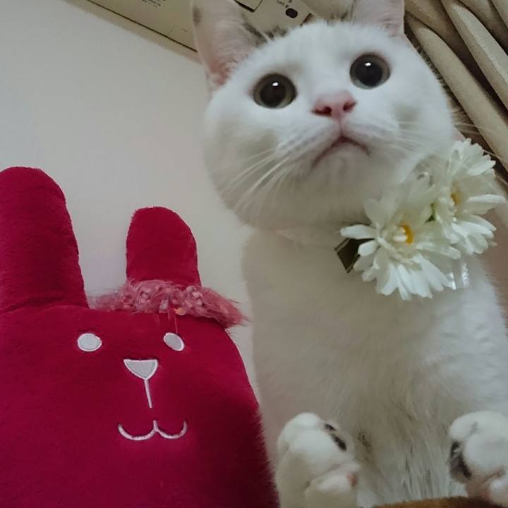 A3f056e6 fc65 4f32 8e99 055337da4db8