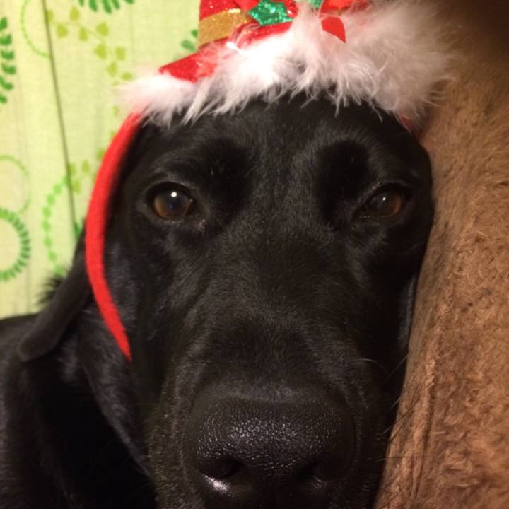 A3f0940b 031a 4552 90b0 a0de3645c79d