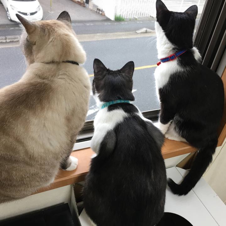 A3f0ba66 ddb4 4b1f 9d5e 3decdbba8b8a