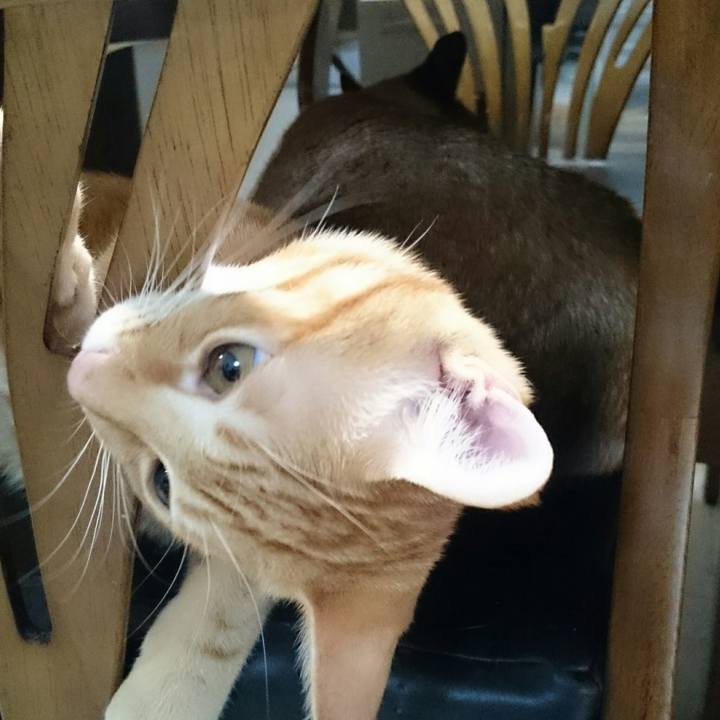 A3f1930d eb11 46a7 90bd c18e3c4a4bab