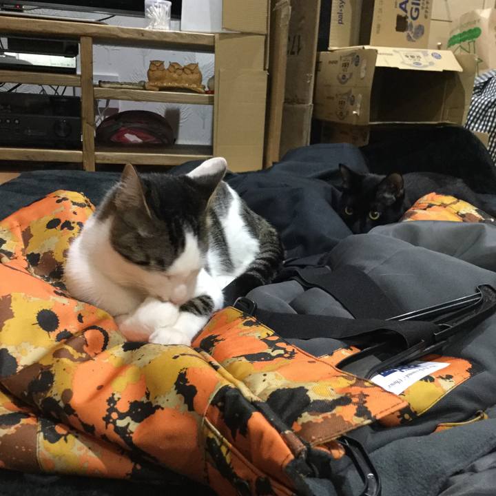 A3f1cac9 83c0 4db4 b8d9 ed09a922c9fb