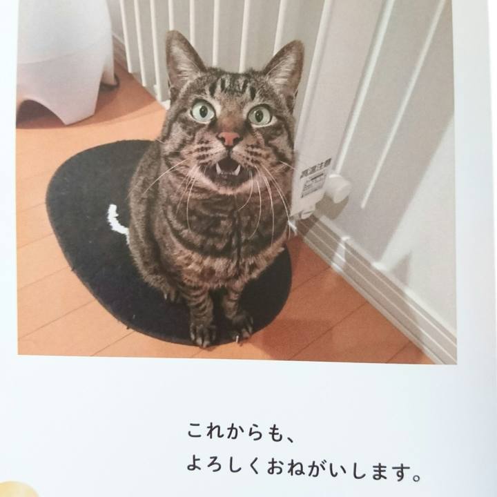 A3f27b7f 00e4 4b37 b292 1d35741cfec8