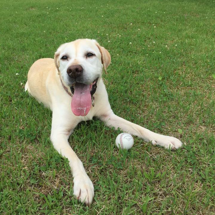 A3f3263e b817 4984 a0ac 782adf9bd862