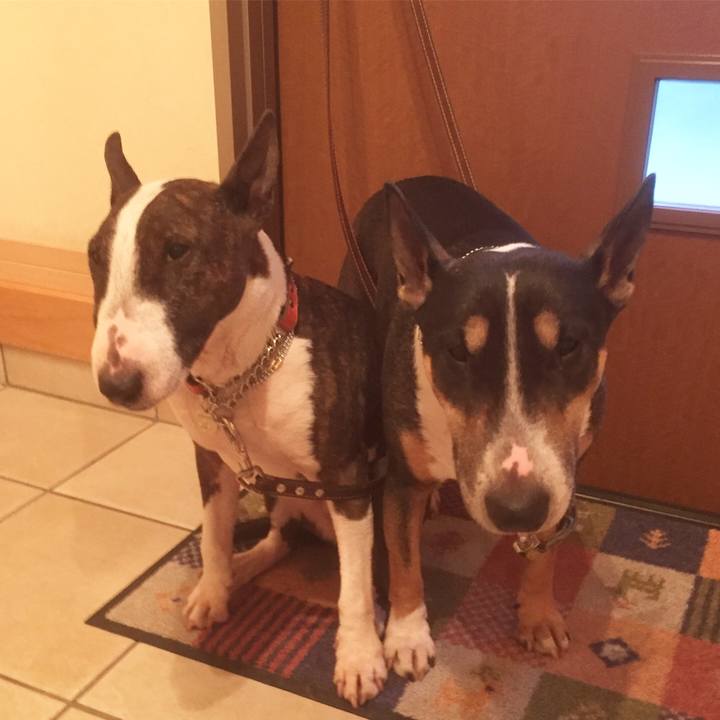 A3f3847f 5cc7 4c7e aba2 126466a750cb