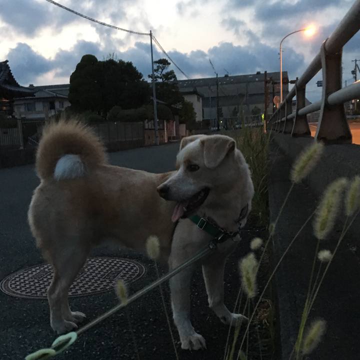 A3f3909d 0efc 46b2 87df 7f6fb7814d53