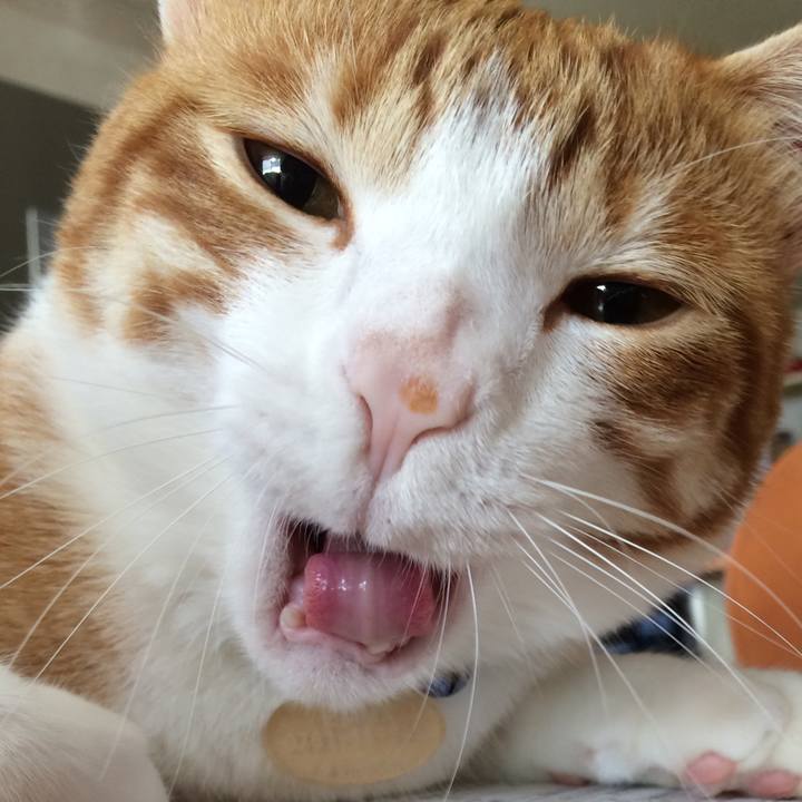 A3f3fbf1 5569 4ceb bb3c 16626867b916