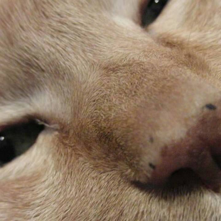 A3f4b2bb 66c6 4054 b796 532ef1f6dd15