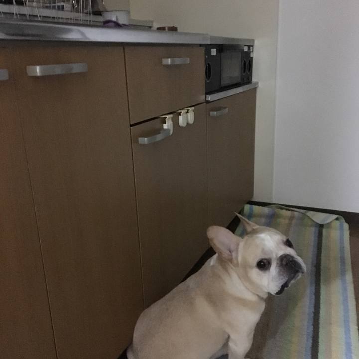 A3f4b9a9 d539 4069 86f3 f3b5f60d63e0