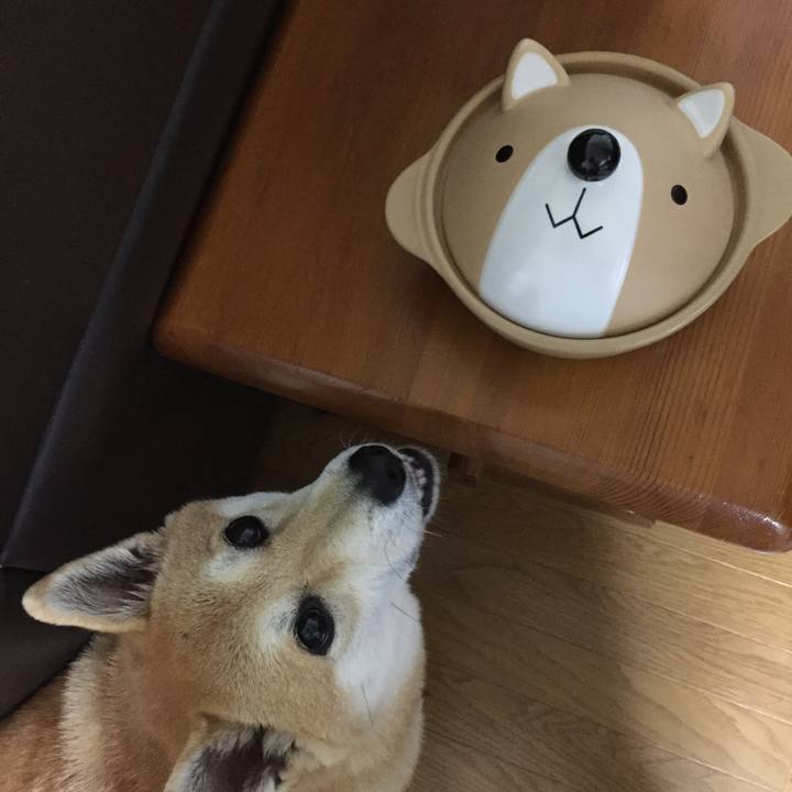 A3f5e329 d6ad 44c6 a093 af93986d81ff