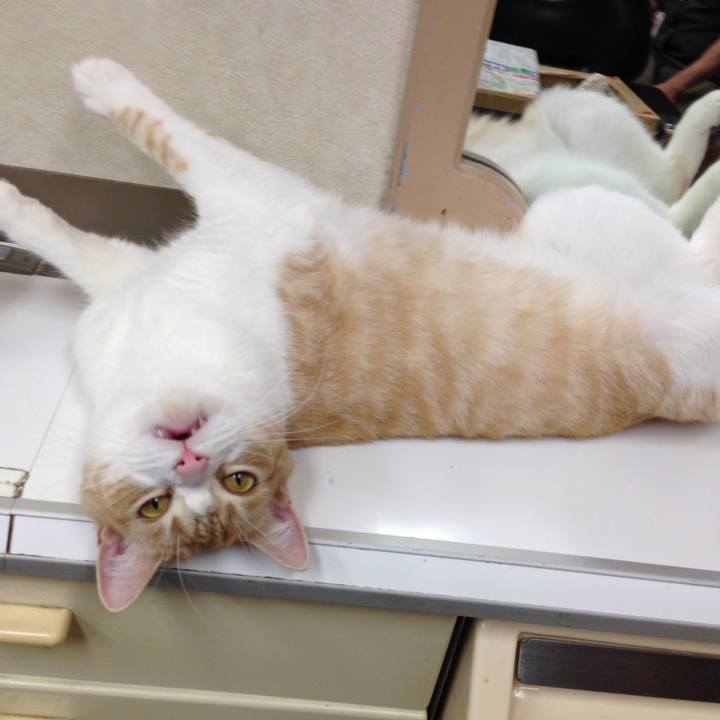 A3f614b7 4261 45fe a68f 59adf5232378