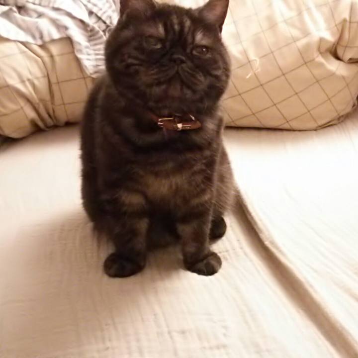 A3f66419 a93a 47b8 8b2b 78de57c69247