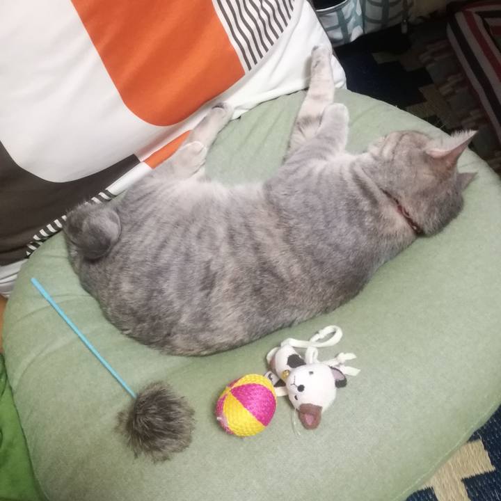 A3f6b7eb ce6c 487a bb78 c403f3c431b5