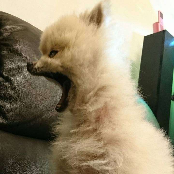 A3f756c6 4977 414f ae7d 1a619ac581a9