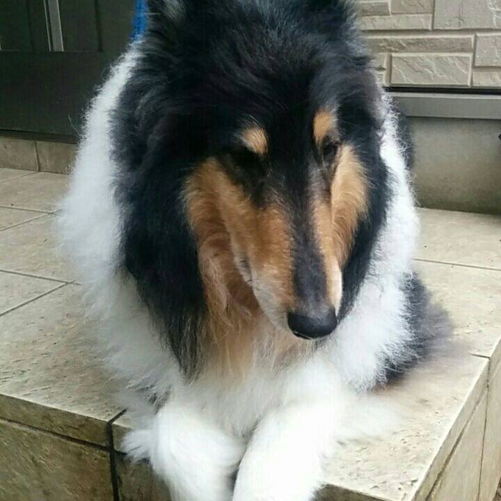 A3f76ff2 c79e 4dfd bab9 0abcf2803fd6