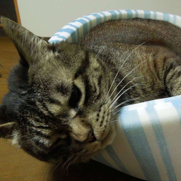 A3f7aa01 6339 4a0c b2b2 6666b74ab071