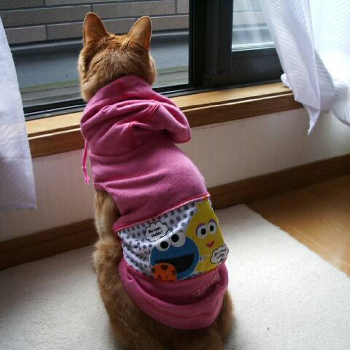 A3f7c6cc c90b 4720 9170 b14a65f8c5ab