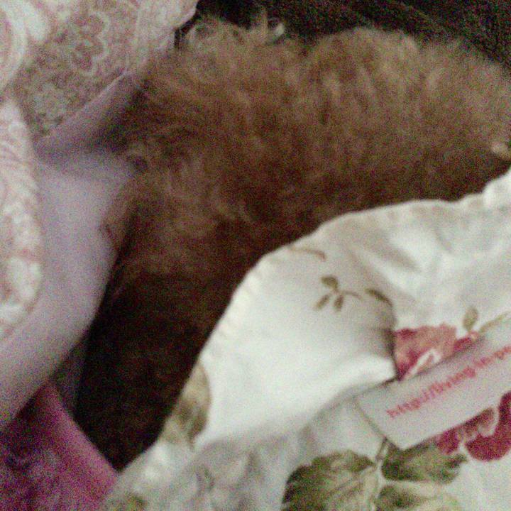 A3f80d72 8ec4 4f9b 8545 353dbeccc89c