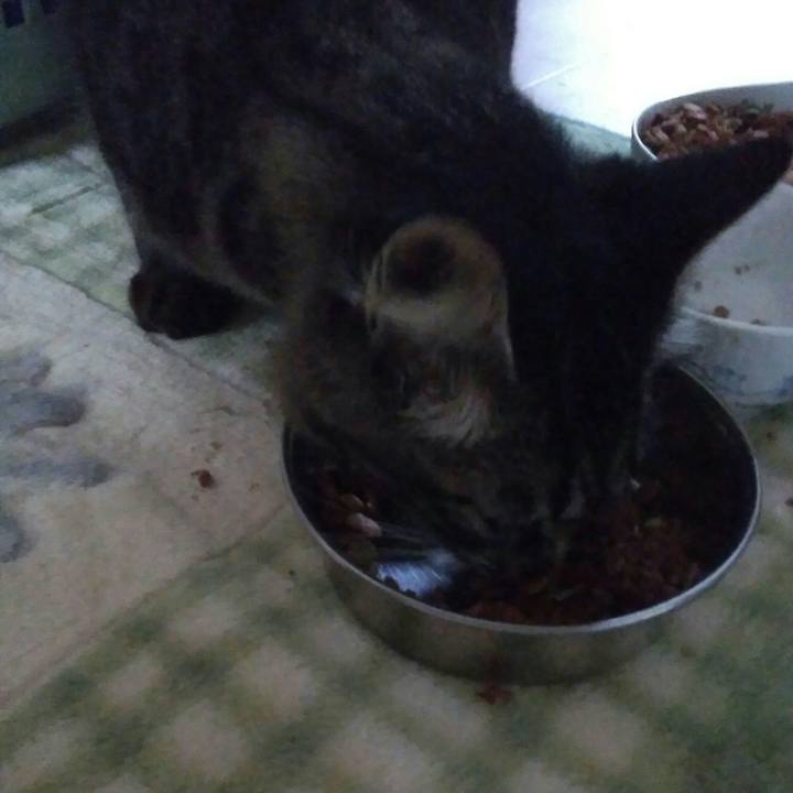 A3f816d5 41da 4300 9cc0 baf8d3c7e52d