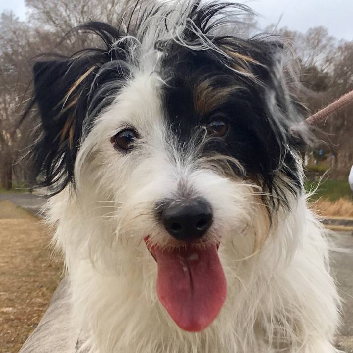 A3f88fae 6b68 42ba 9660 b4eb07edb279