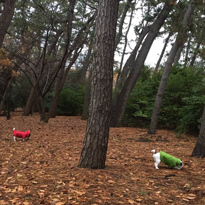 A3f8ec53 bf87 49cf 869e d3fe10d96352