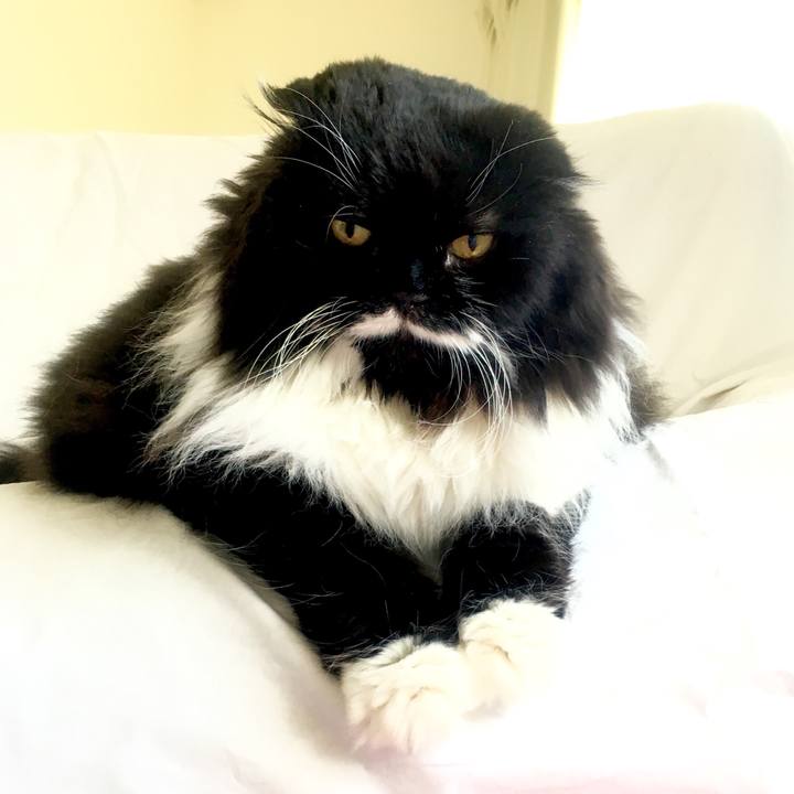 A3f93029 b428 4195 8f61 1e35aef21307