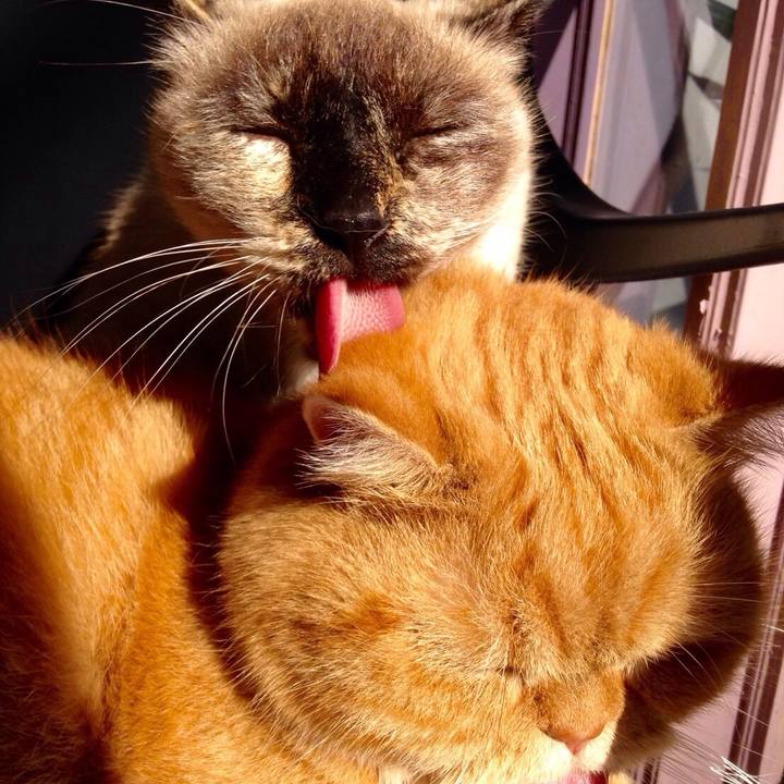 A3fa6e1b 6dcf 413c 9269 286e66d0ed5d