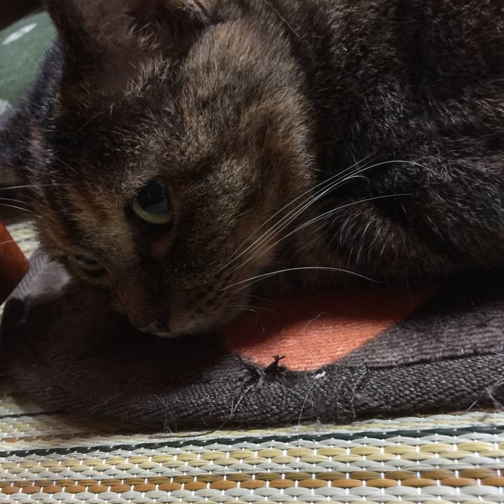 A3fac85e 9e13 49bc a59c 9893ab20df03