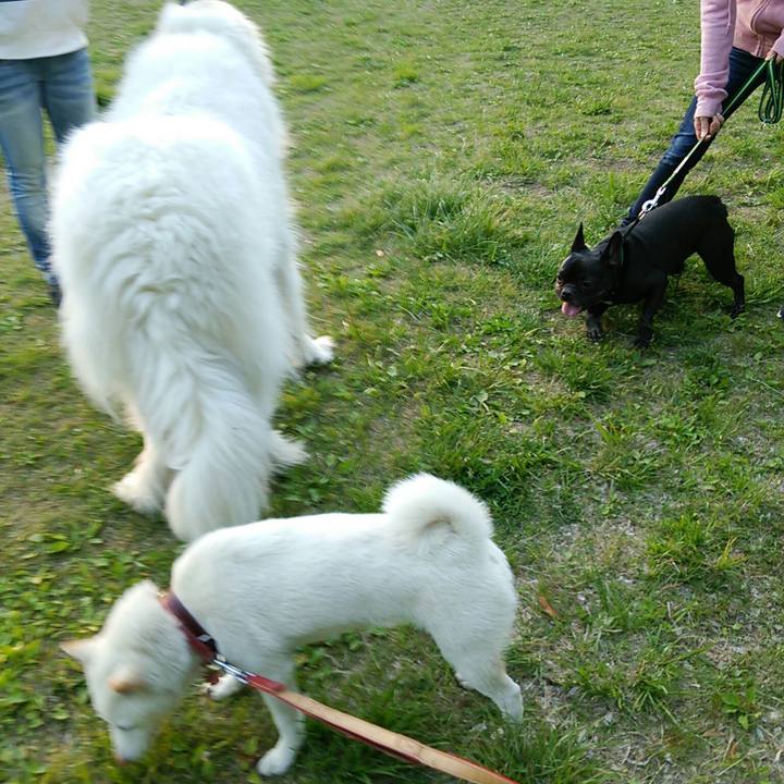 A3faf289 0d1e 42e8 bc52 c812d4607b9c