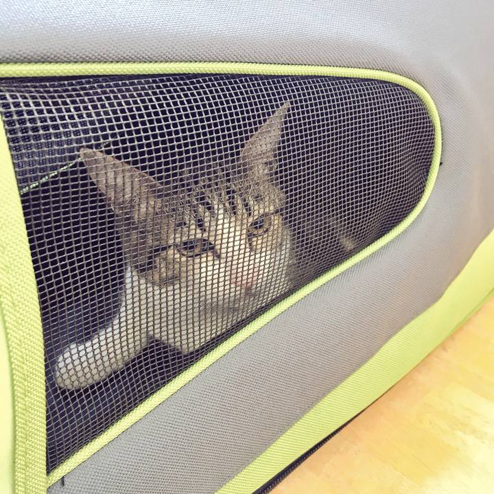 A3fb0004 f2a2 411f bcb3 c9f3790b543e