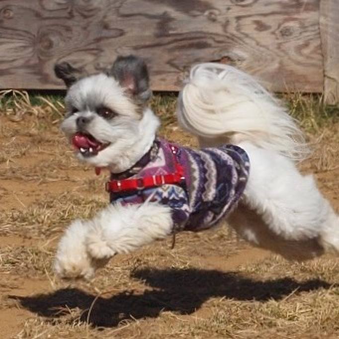 A3fb23af de75 48a4 bed2 a0f784a43dc5