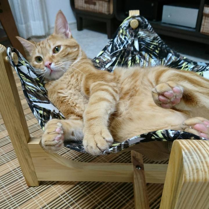 A3fb5b3e abd2 4c92 b3ae 6f0dba084fc7