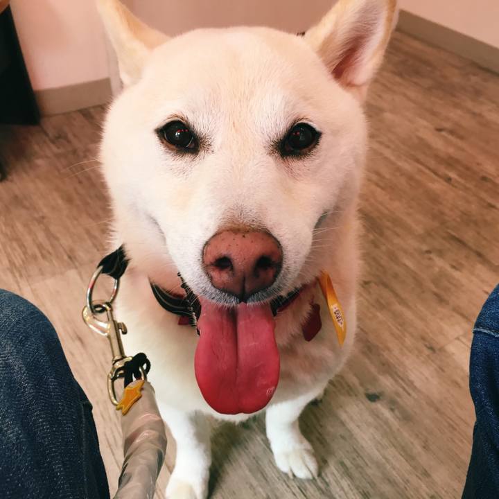 A3fc6fbc fbb3 4709 a613 be1cf02e7d2e