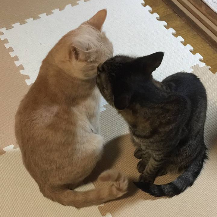 A3fc97ec 5ede 4311 9099 fb88d210d80d