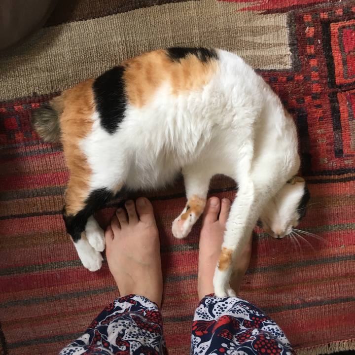 A3fce2df 0b90 44ff a845 a1f49badc522