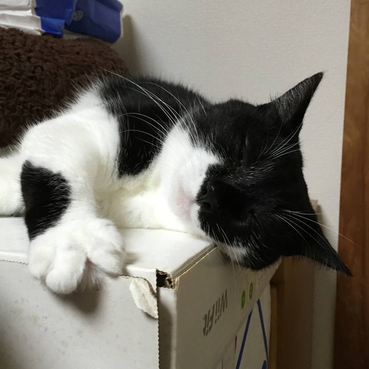 A3fce8b4 fedb 45d6 bc38 62c852a623d2