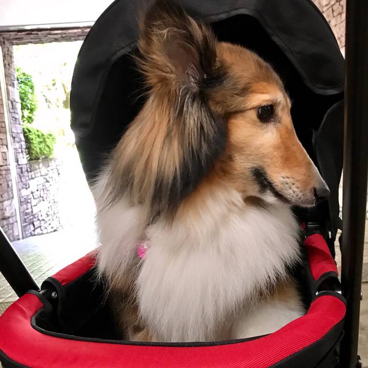 A3fd5a92 2091 4598 b53d d5a6db062e4b