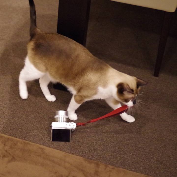 A3fd65e9 5291 4137 9ac2 55805bd3a9de