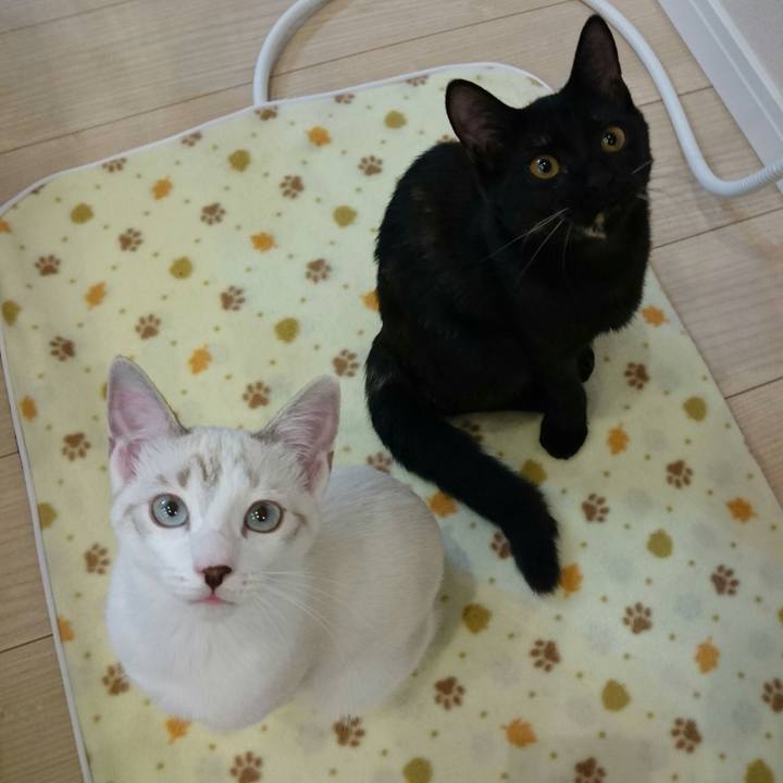 A3fdf1b3 1241 41ec 9710 5835bde7a57c