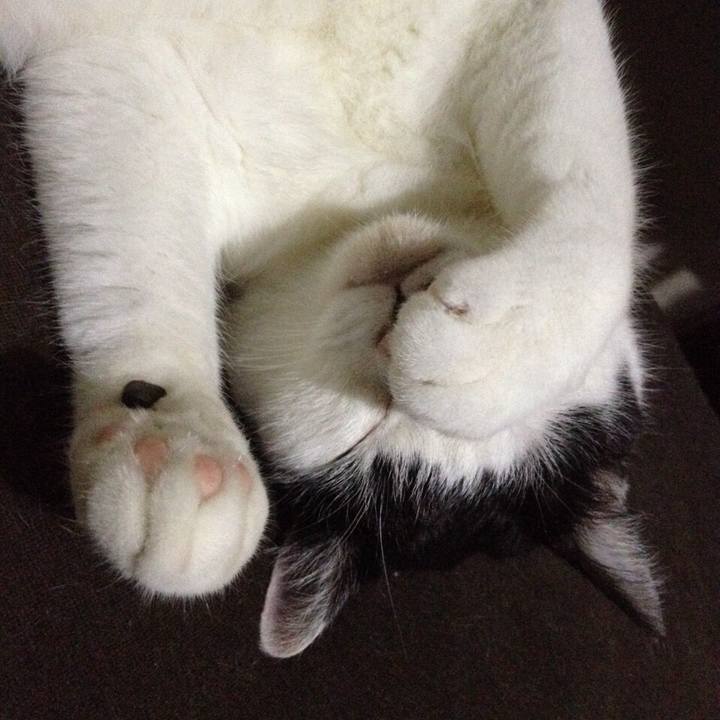 A3fe06b7 d46b 42ba 88a5 66f9ab111bc2