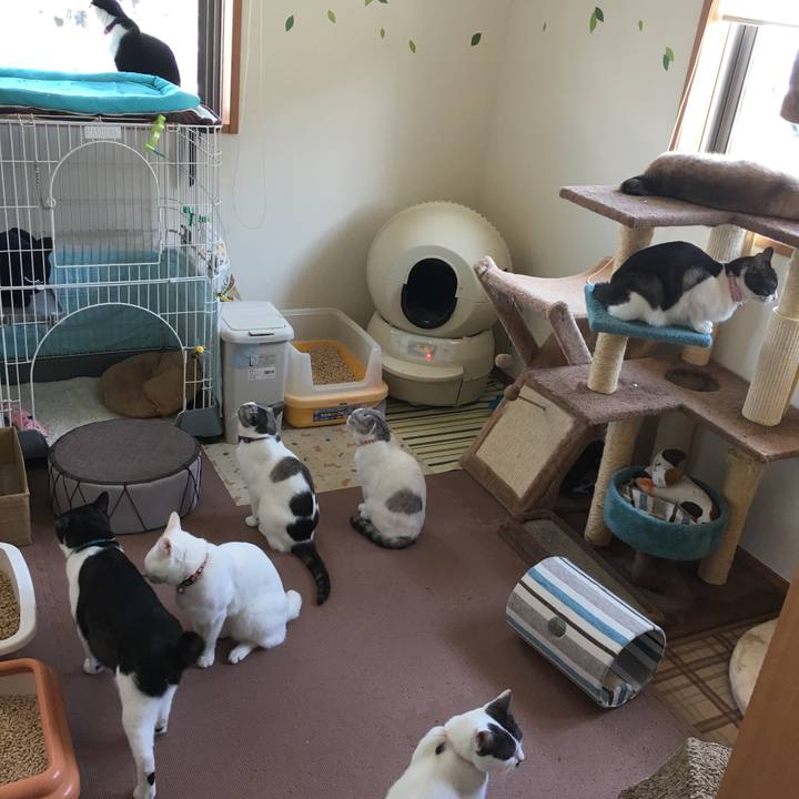 A3fecfba 8b33 47cb 9db0 9b973c7a22c2