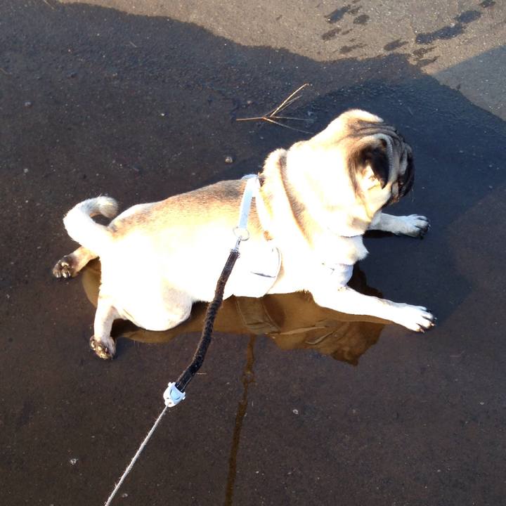 A3ff6ace be4a 4e19 8115 0c0c90aa7b62