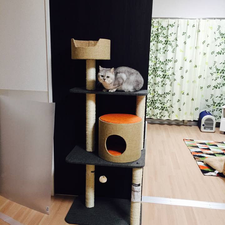 A3ffa633 824a 4302 84f8 a1d54386731a