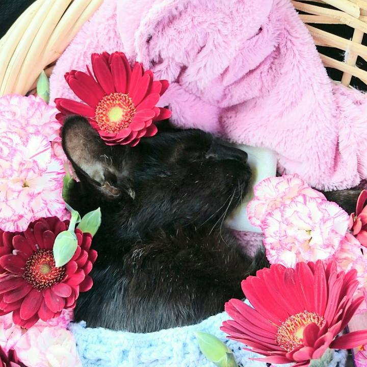 A3fff98c cfe8 4e96 957d 613aa9ceb47f