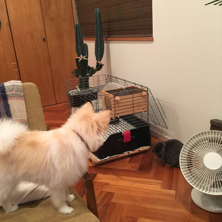 A4003e25 cc55 47cc 85e4 bef9f50dbe37