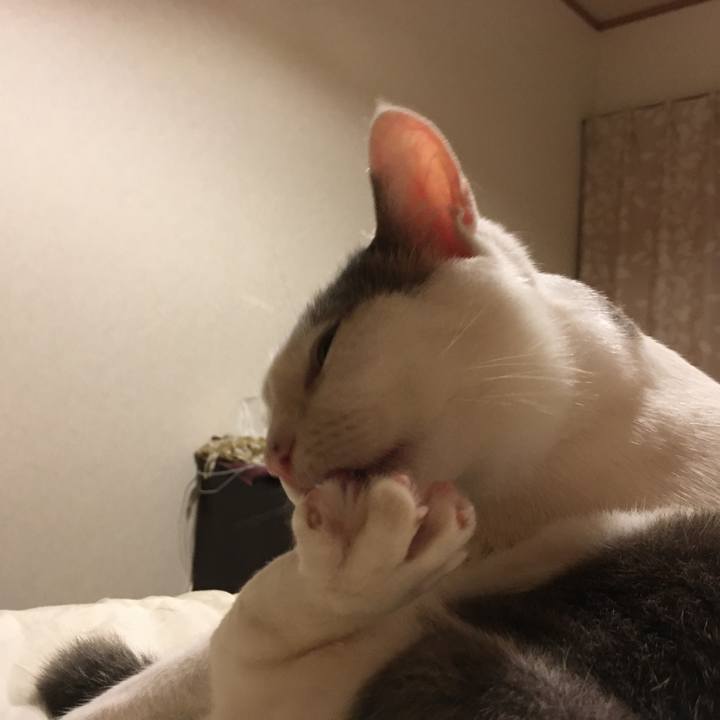 A4006a42 c73d 4fd6 9cb7 2e53b5658d6b