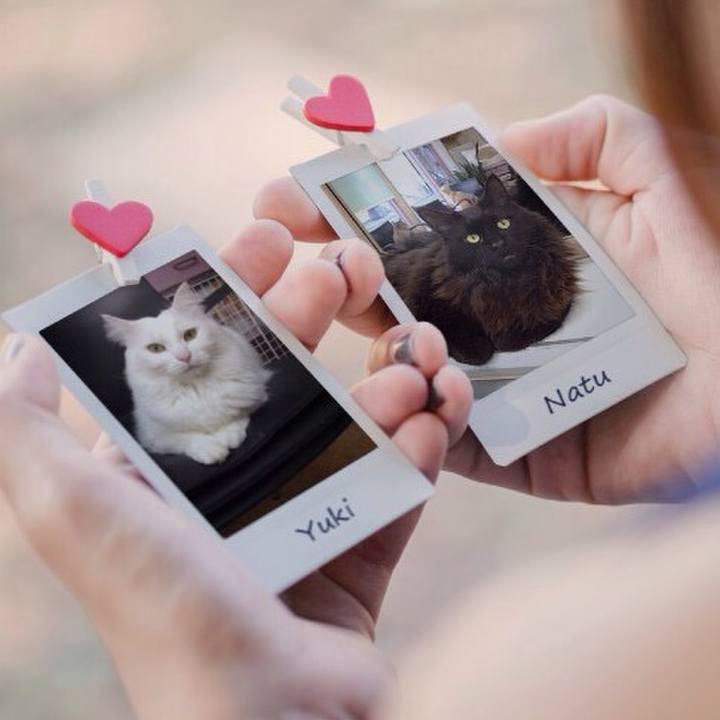 A400a882 bc80 4a17 a28d 0f88fcfc5eb5