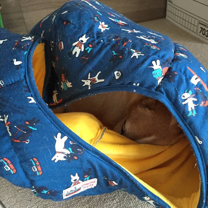 A401227f ffc3 42ec a224 f404a724fc88