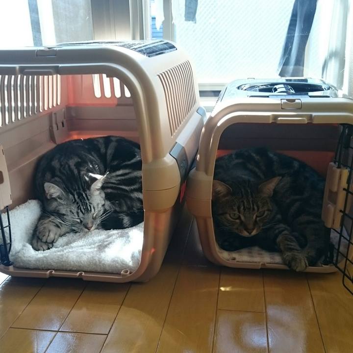 A4012f59 8189 45d6 92a1 31213bc4554e